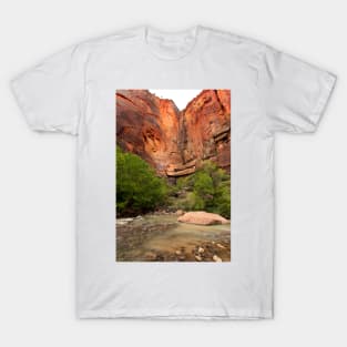 River Low Mountain High © T-Shirt